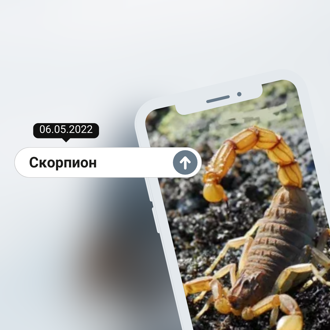 Скорпион - 06.05.2022