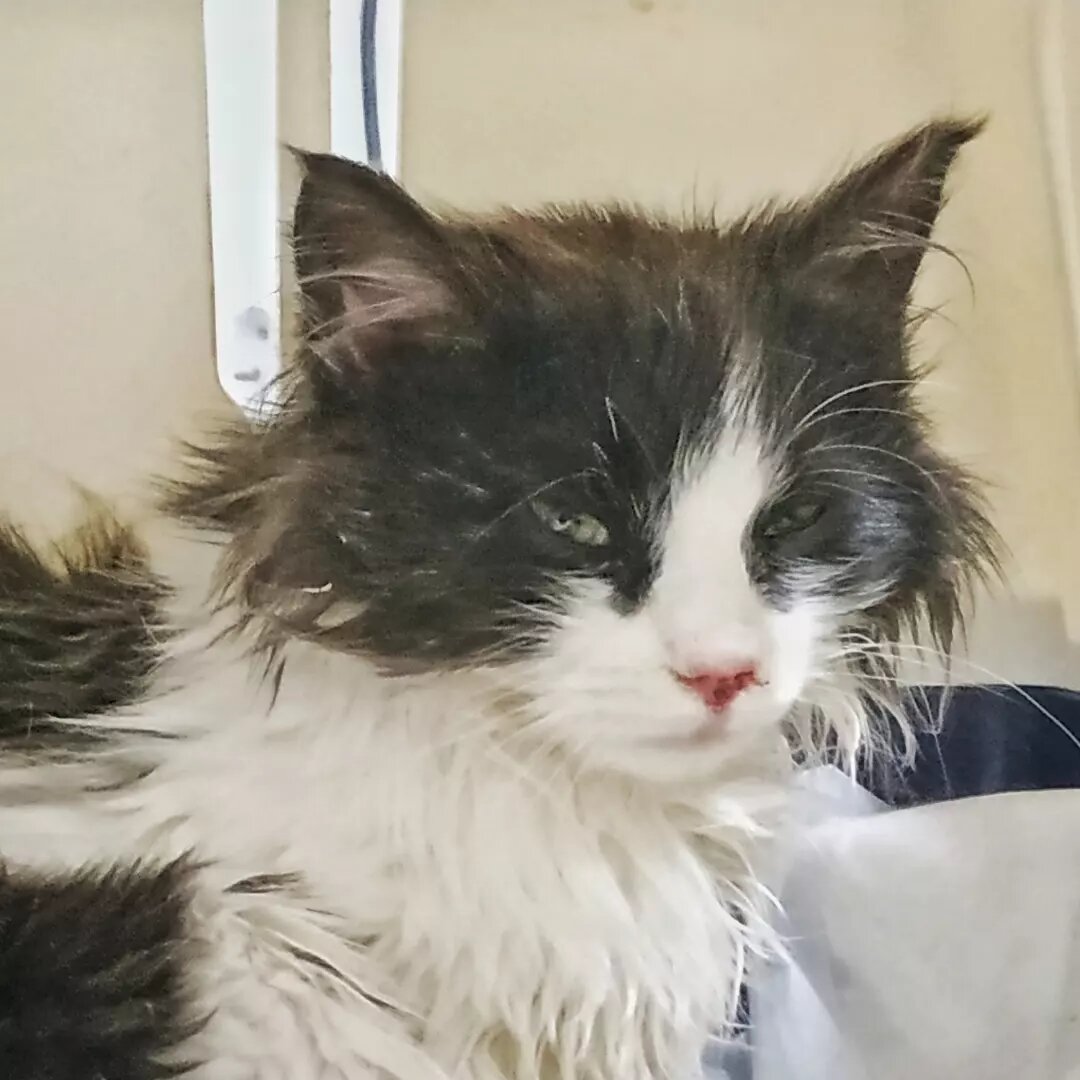 Состояние не самое лучшее