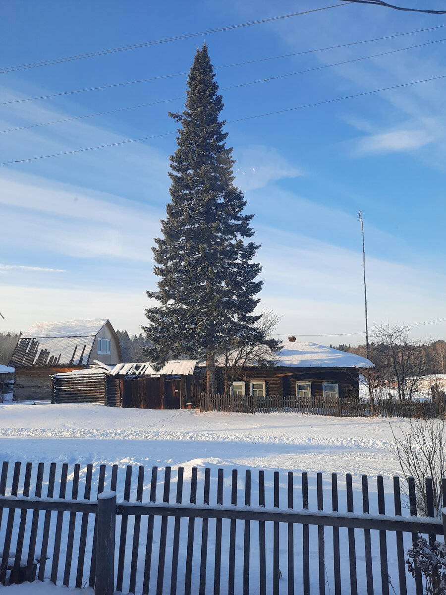 Дом примерно такой был. У бабушки дом сгорел, теерь новый. Это реальные соседи бабушки. Таких домов было очень много в деревне. Четкое фото дома нашла только зимой.