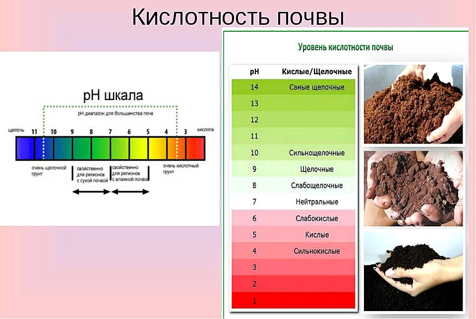 Кислотность почвы рн. PH почвы 6. Градация кислотности почвы. Уровень кислотности PH почвы. Шкала кислотности PH почвы.