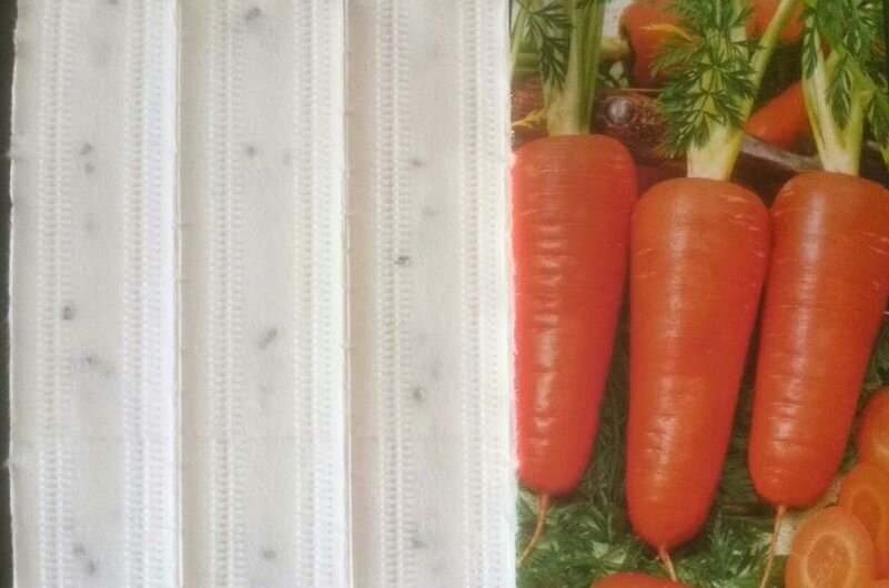 3 главные ошибки огородников при посадке моркови на ленте