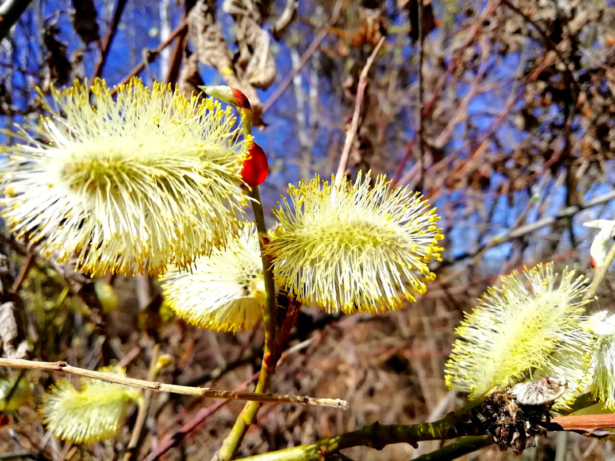 Фото Ирины Жениной