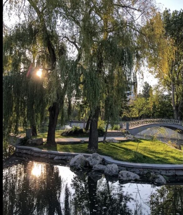 Фото из интернета 