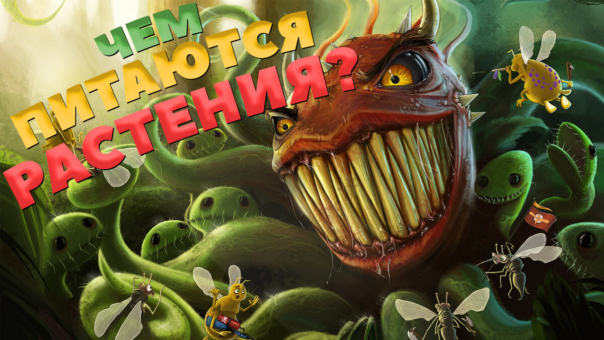 Интересные факты о фотосинтезе и хемосинтезе, откуда взялась нефть и уголь