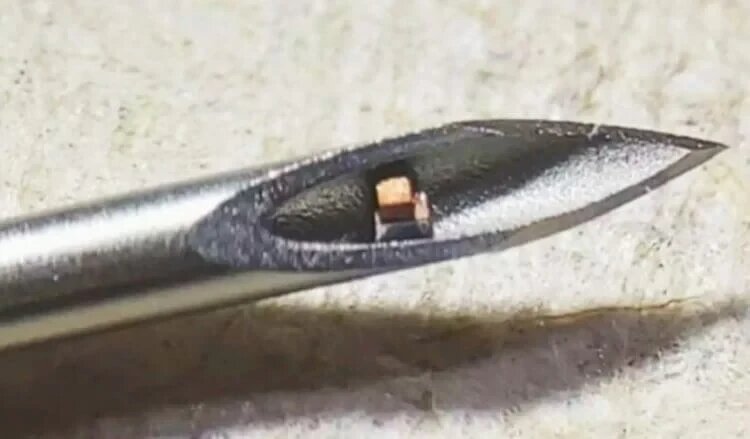 Самый маленький вживляемый чип. Фото: science.org