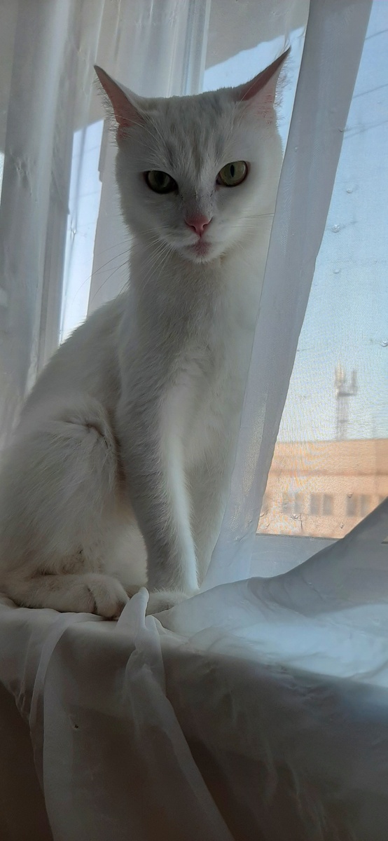 "Ты кто?"