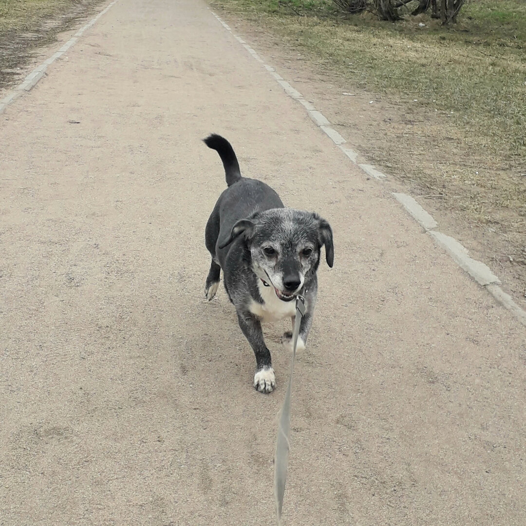 Наша Стыдоба Два Уха