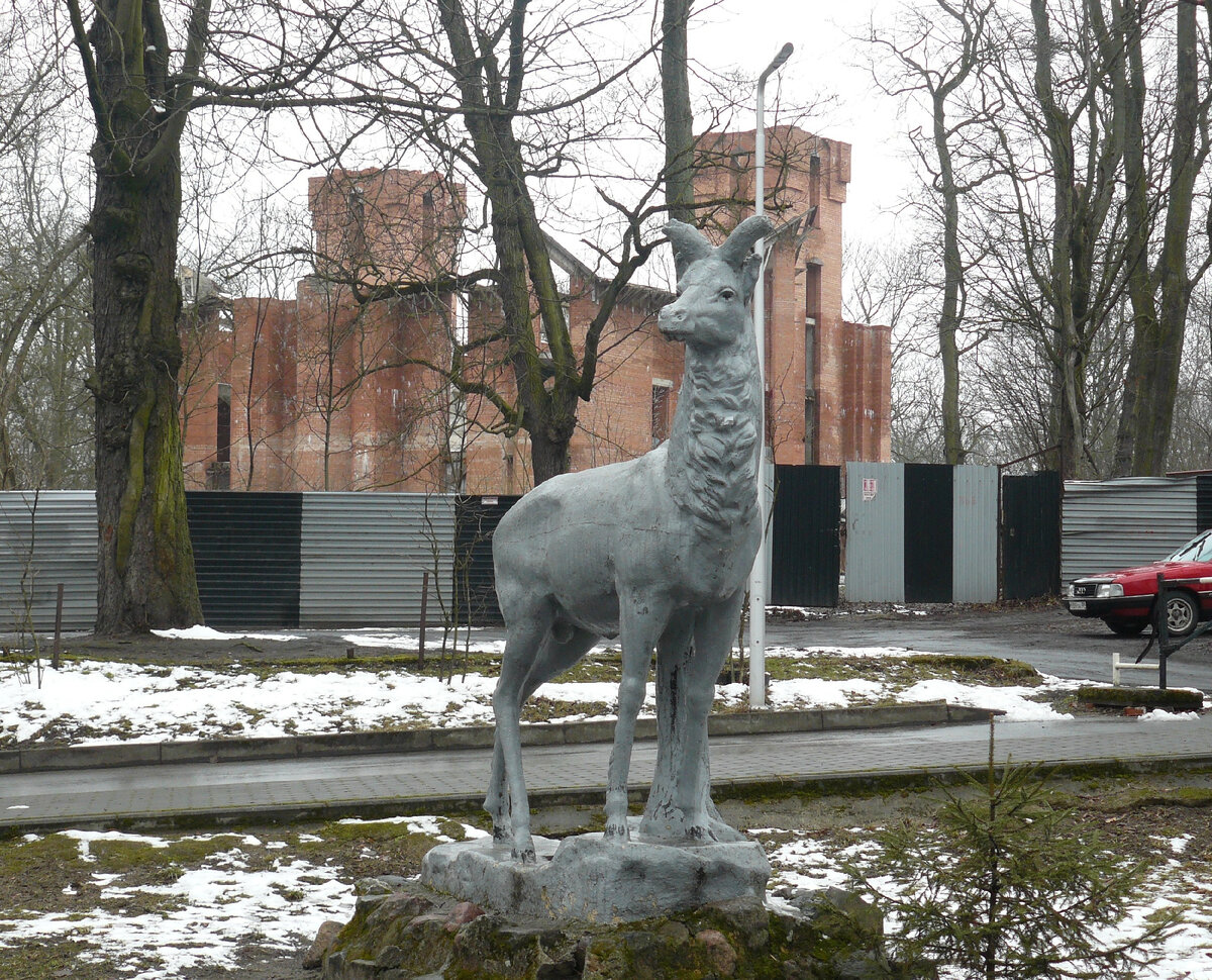 "Лань", г. Калининград, около Фридланских ворот.