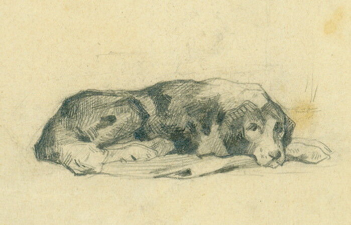 Рисунок любимой собаки. 1880-1890 годы. Коровин.
