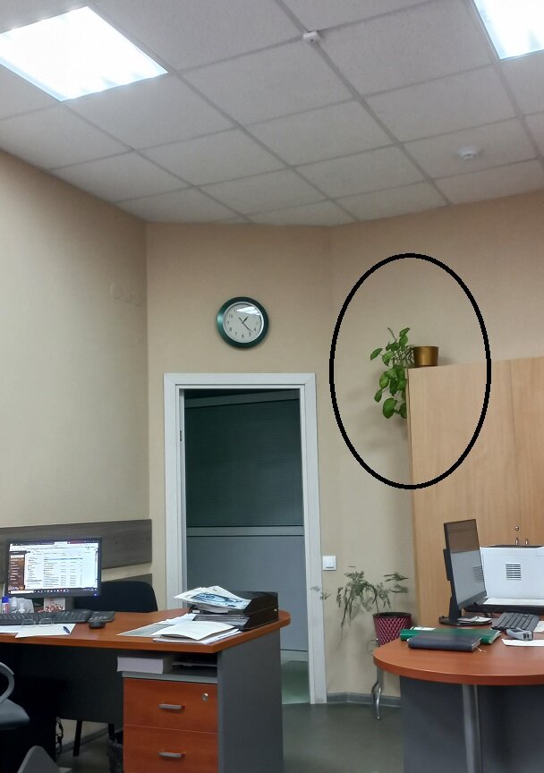 Вид с моего рабочего места.