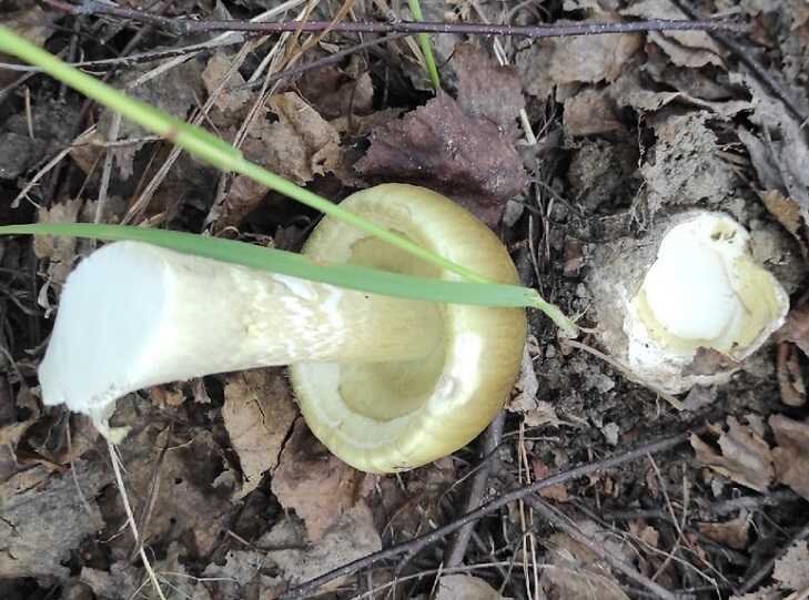 -2