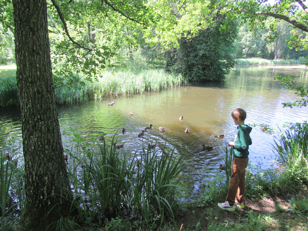 Фото 1 Зверинец