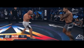 Нокаут в бою Шлеменко vs Илич