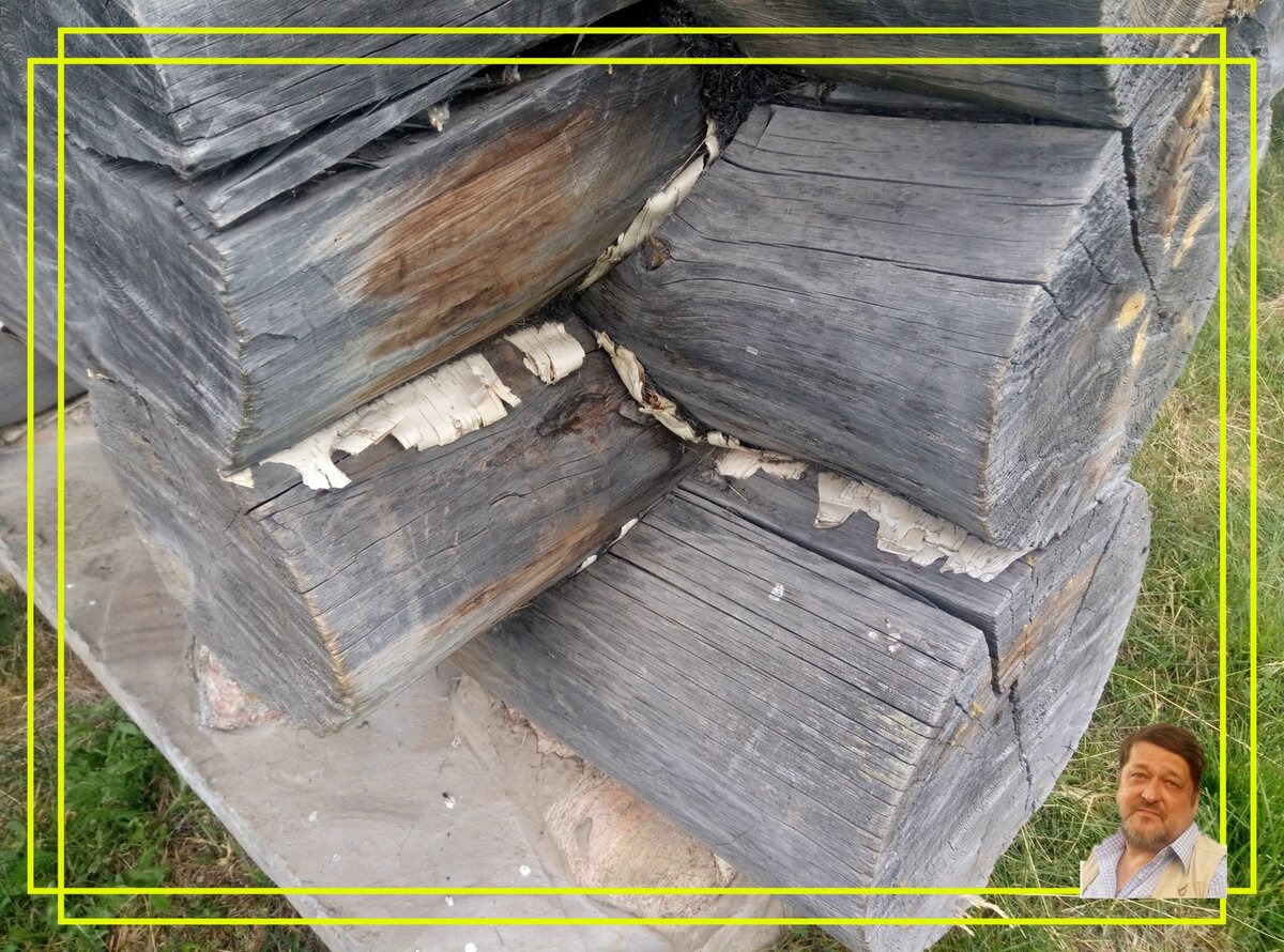 Новое - хорошо забытое старое. Береста в виде гидроизоляции. Источник фото: https://clck.ru/xhXRA