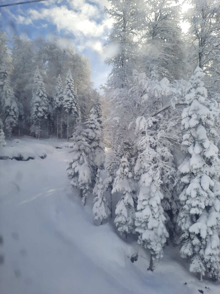 Фото Алены Бо.Поднимаемся на канатке на Красной Поляне с высоты 540 на 960.