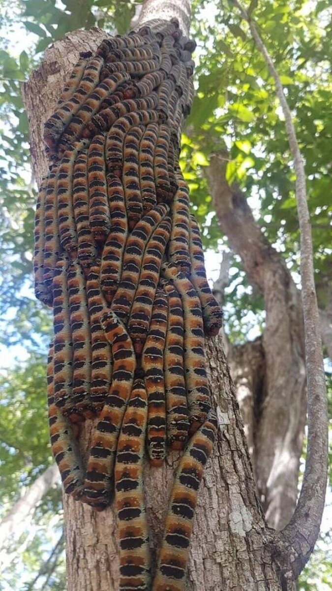    16 ���������� ������� �������, ������� ������������ � ������ ������ ������������