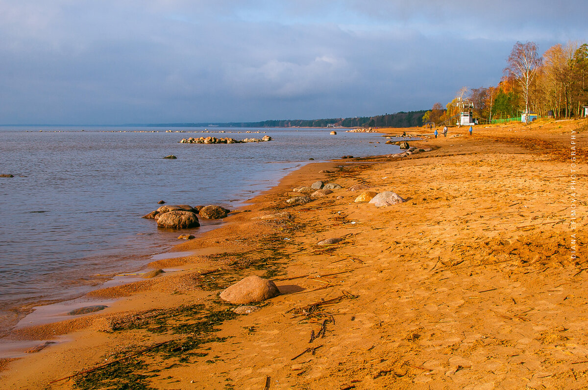 Пляжи финского залива в санкт петербурге фото