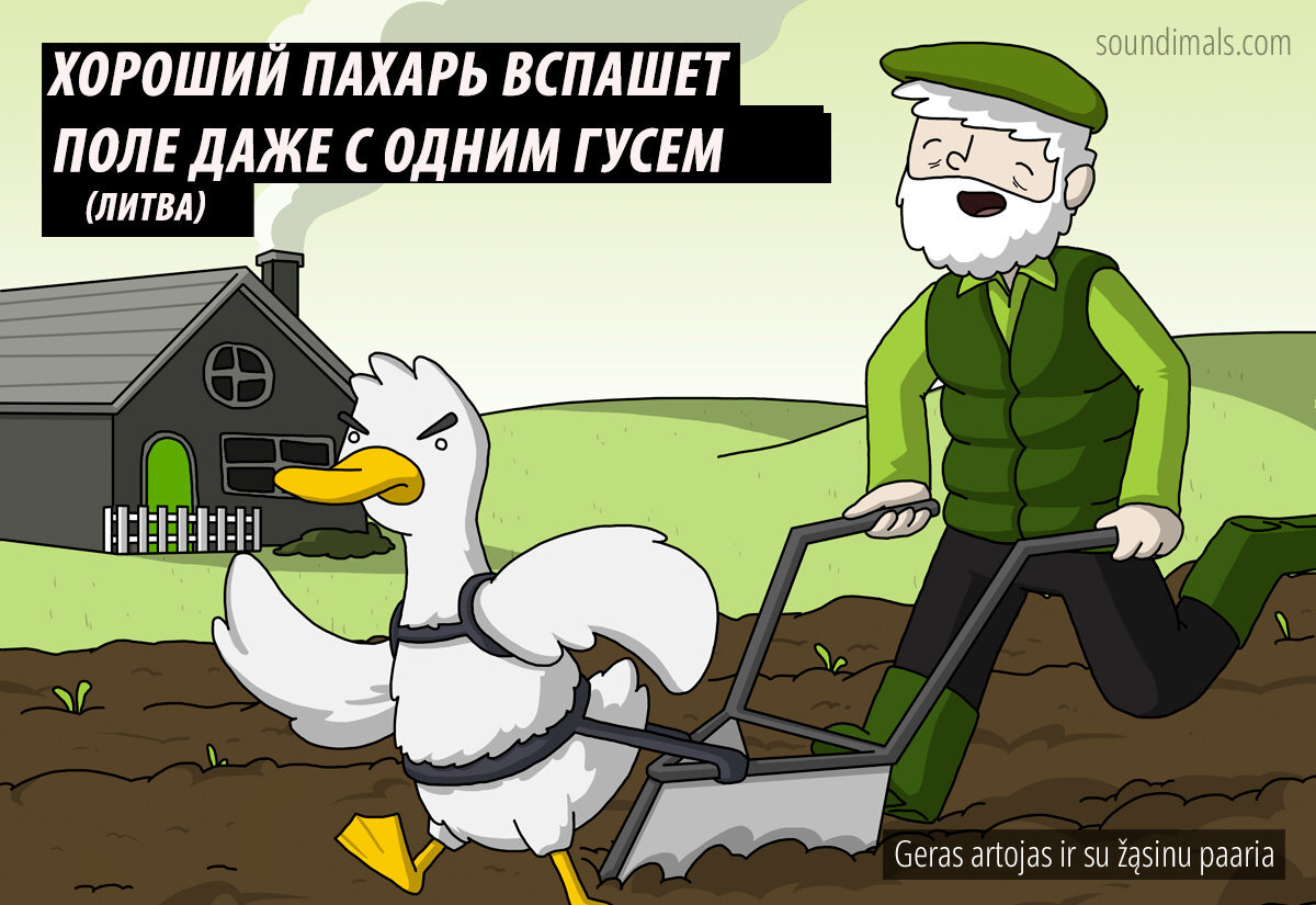 Комиксы о том, что в разных странах мешает плохому танцору | Мир комиксов |  Дзен