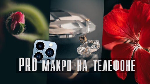 Как снять красивое макро на телефон