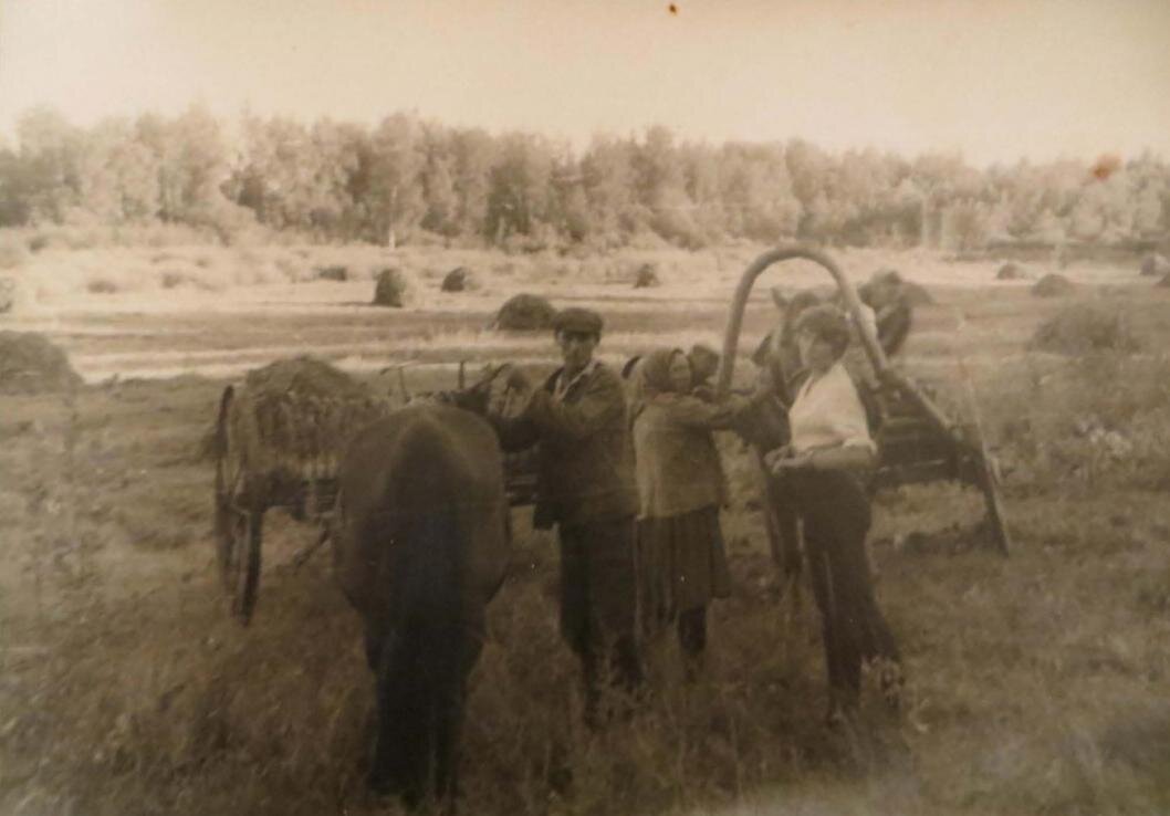Деревня Шалимова Уватского района, 1960-е годы. | Фото: группа "10 причин моей гордости" во ВКонтакте