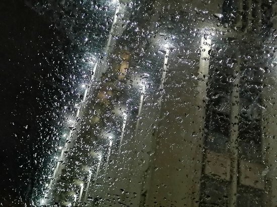     фото: МК в Туле, Юлиана Трофимова