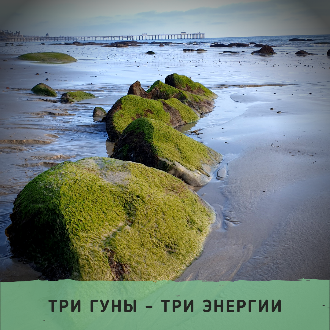 Фотографии из личного архива Ольги Бараксановой 