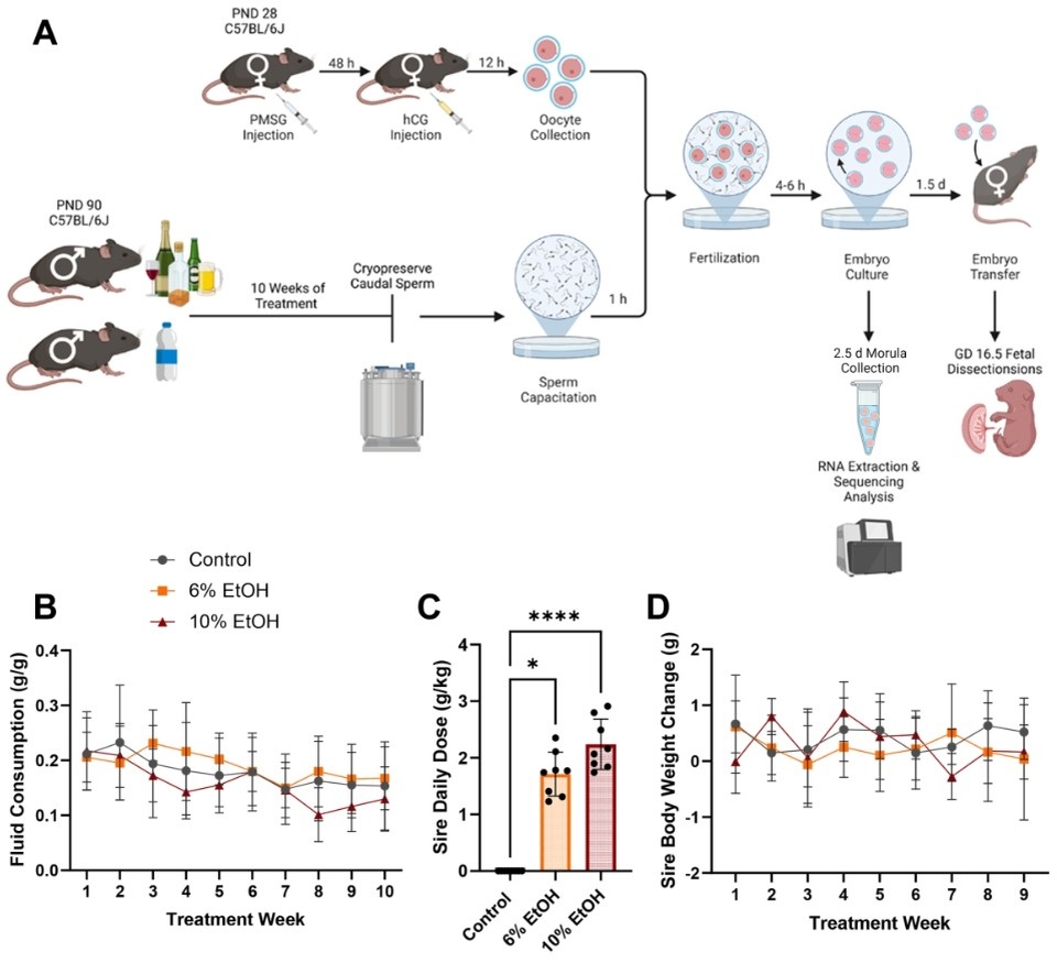   Alexis N Roach et al. / Molecular Human Reproduction, 2023