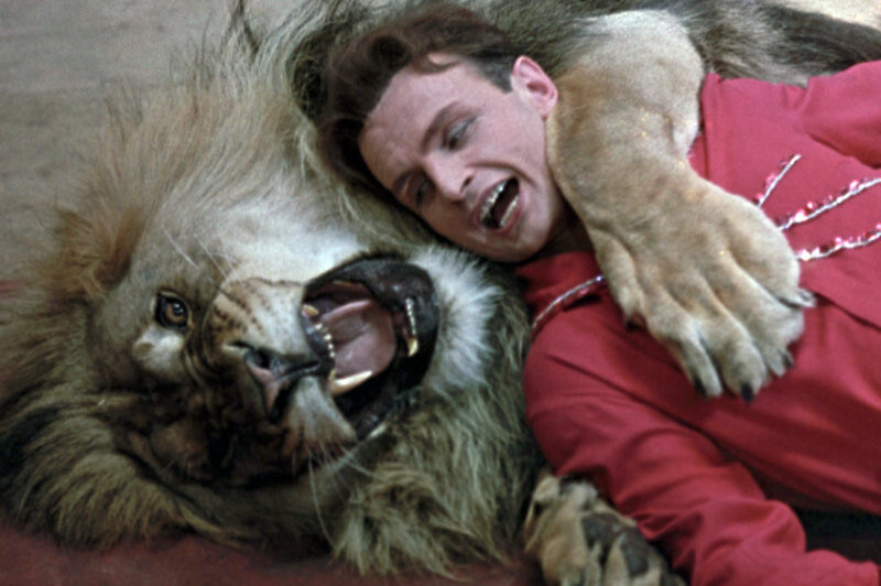     Как Татьяна Запашная вышла за Вальтера по расчёту, а потом полюбила на всю жизнь