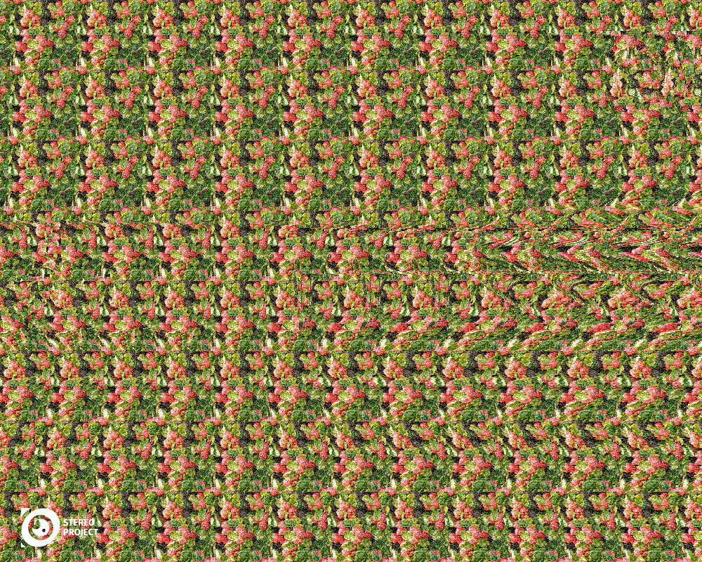 Она еще и стреляет! 