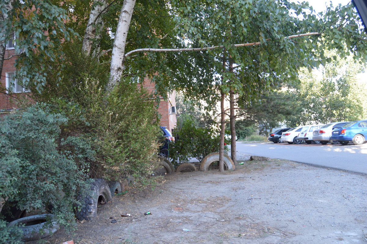 Фото автора. 21.08.2023. Городской двор. Кругом бутылки валяются. Богато живём.