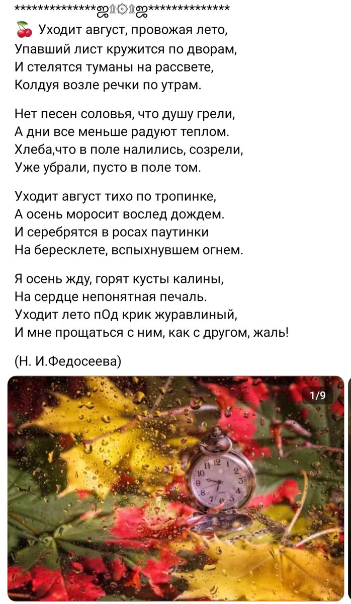 Не о чём и обо всём,и вообще скоро осень...🥺 | Лариса Васильева@,,Lissa,,  , истории из жизни ИПэшника . | Дзен