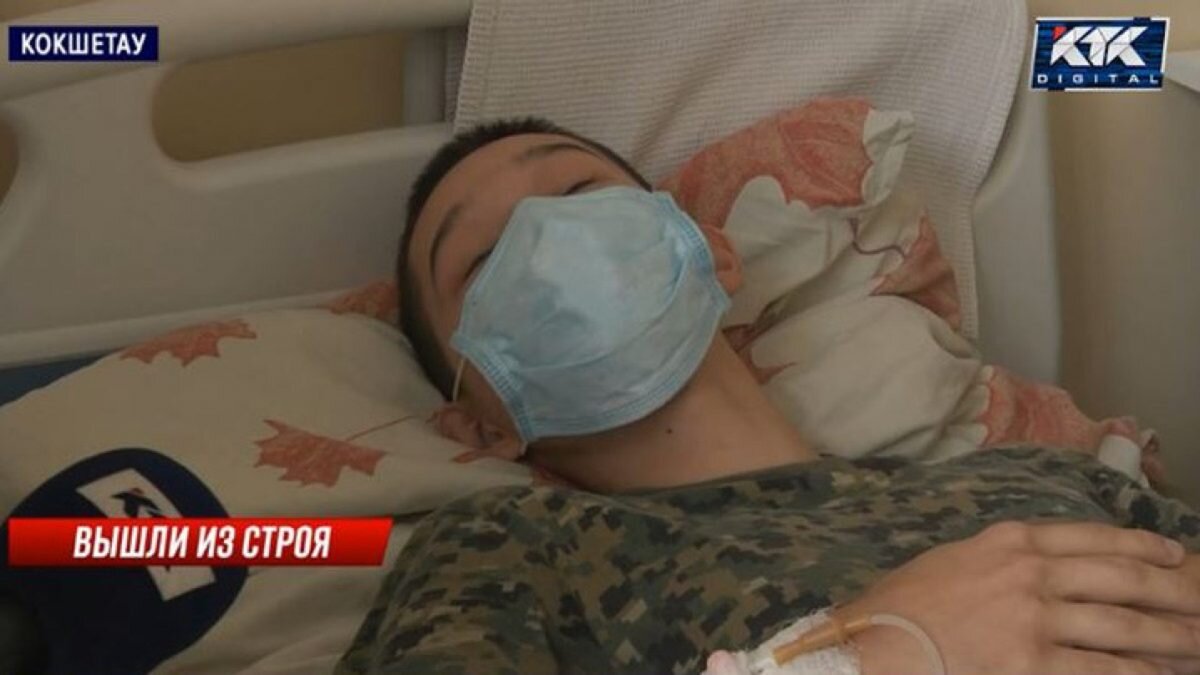    Фото: кадр из видео/КТК Лия Миронова