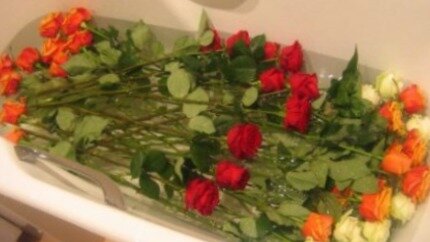 как сохранить розы