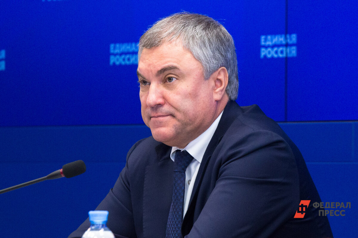 Отечественные производители наращивают темпы, подчеркнул политик.  Фото: ФедералПресс / Елена Сычева