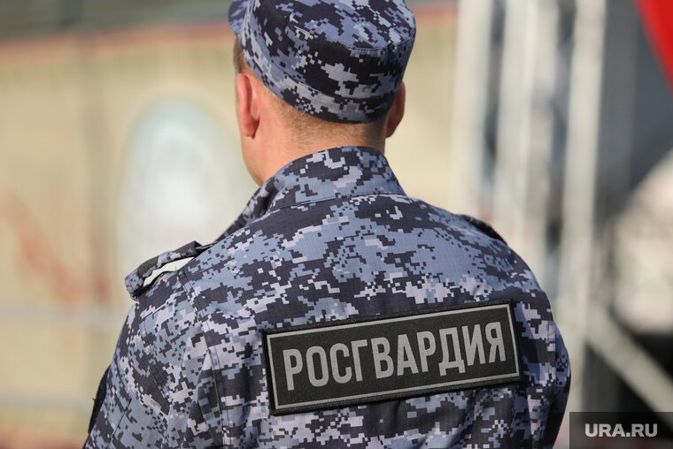    Сотрудники Росгвардии передали задержанного полиции