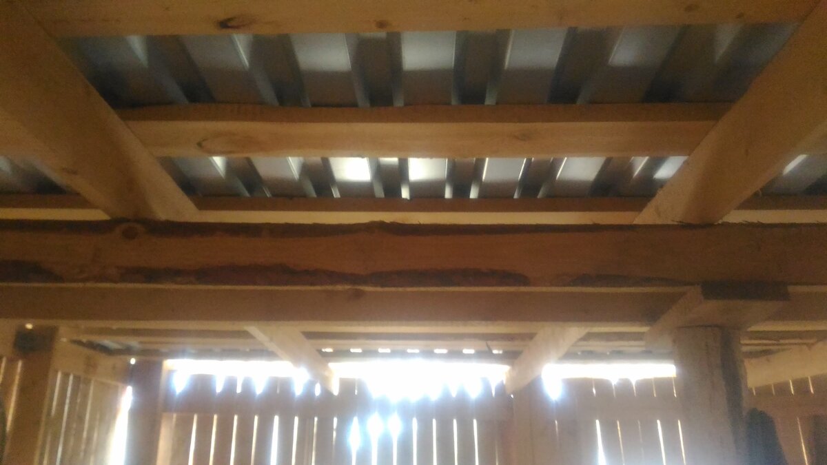 Вот эта доска была для меня турником в первые три недели