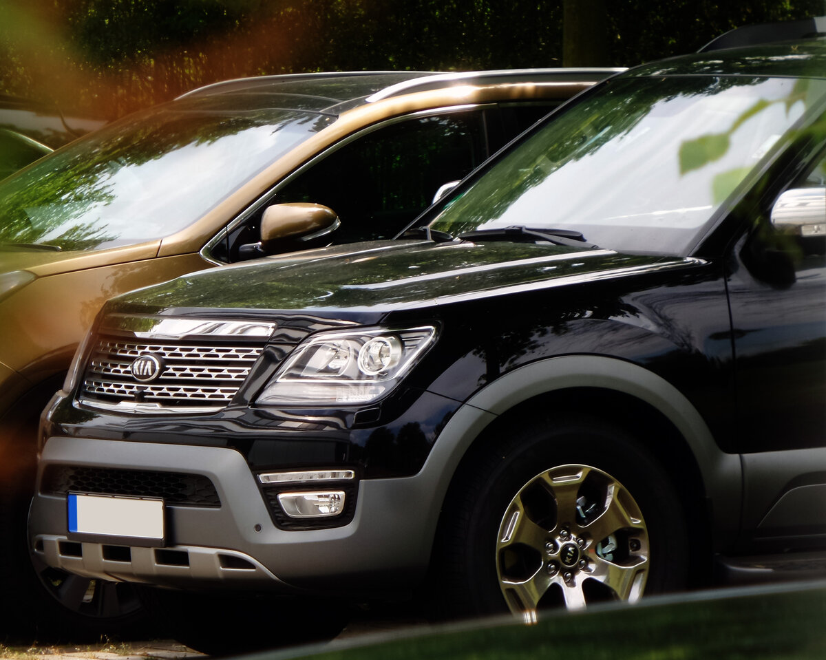 Фото взято из открытых источников.https://commons.wikimedia.org