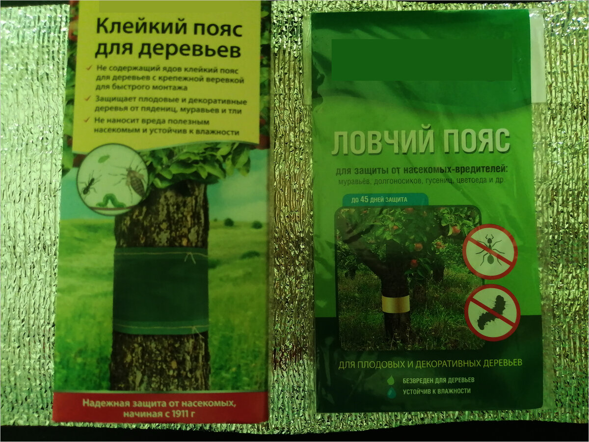 Защита садовых деревьев от ползающих насекомых.