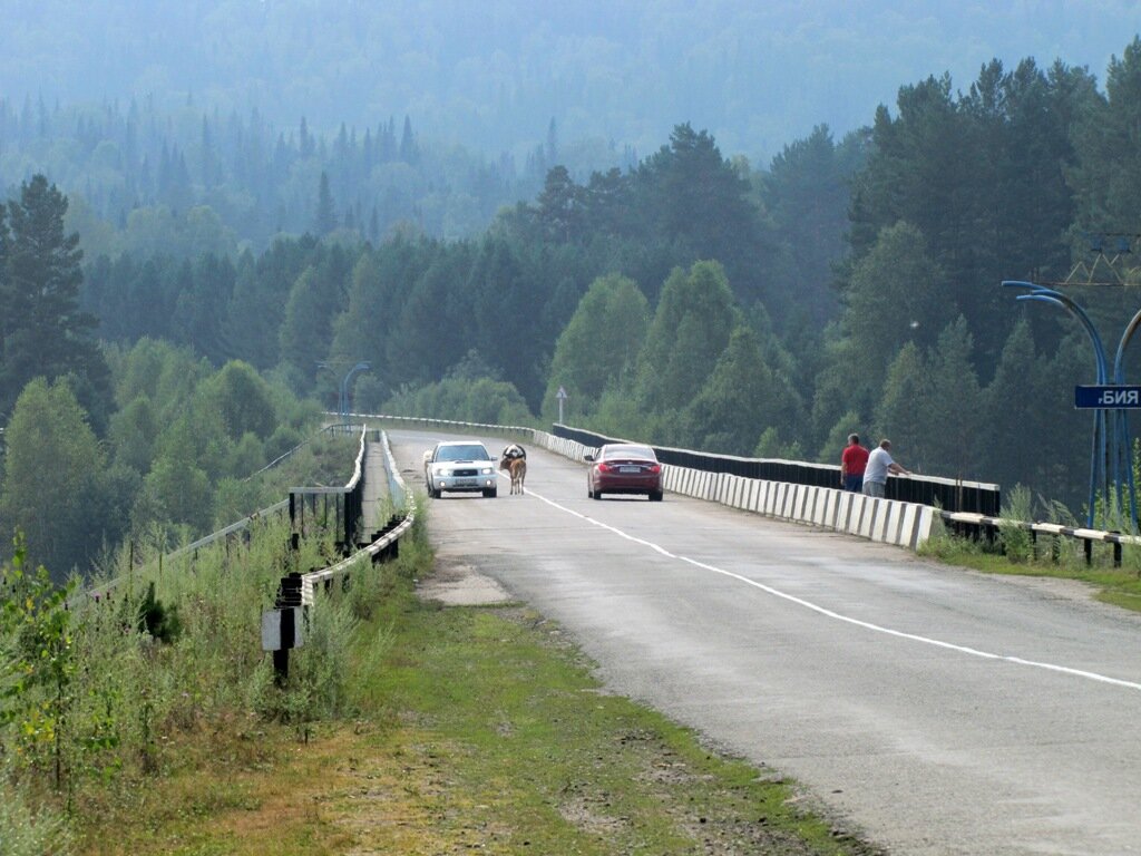 Онгудай расстояние с барнаулом. Барнаул- бийск- телецкое озеро. Горно алтайск телецкое озеро маршрут. Горно-алтайск телецкое озеро расстояние. Расстояние от барнаула до онгудая.