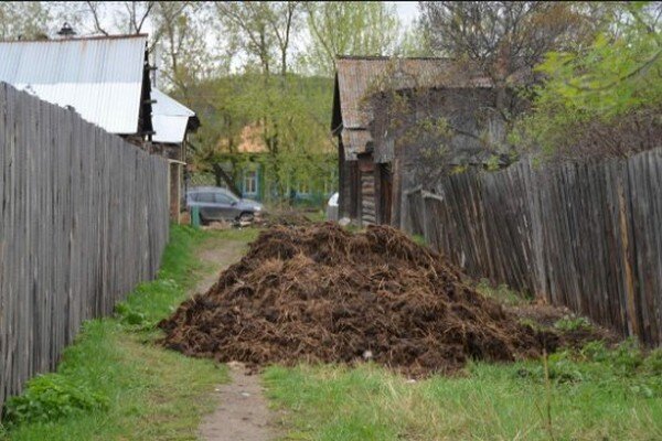 Как заставить соседа убрать мусор от забора