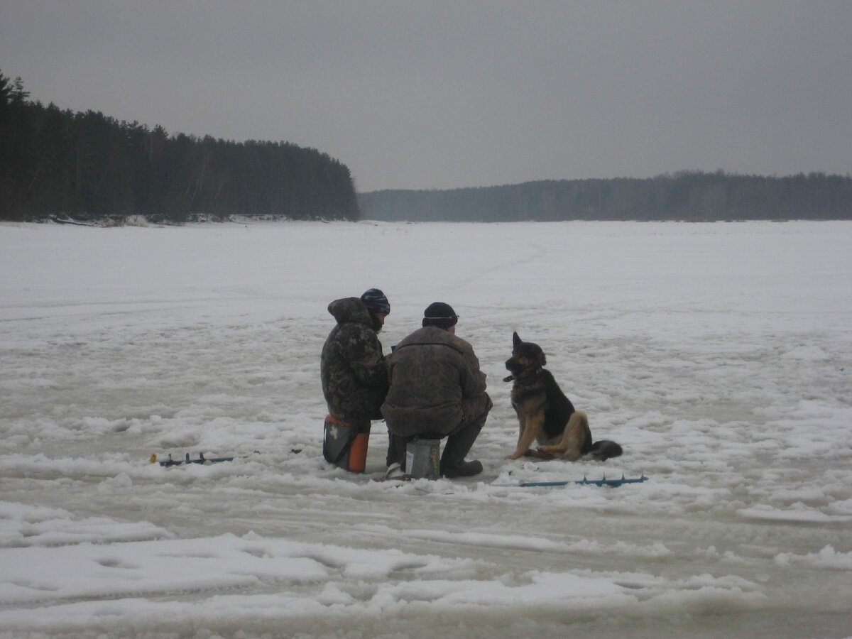 Когда рыба не клюёт, "соображают на троих. " 