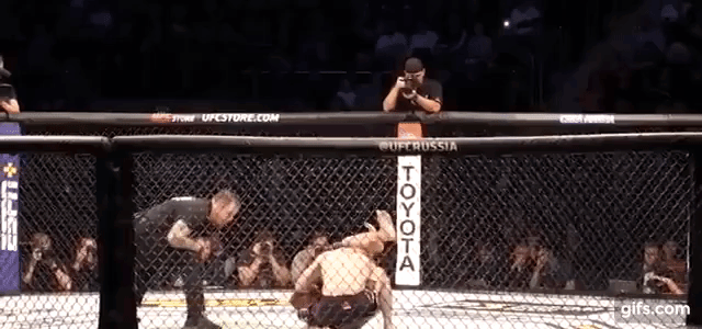 Поражение Абубакара.