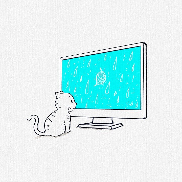 https://pixabay.com/ru/illustrations/%D0%BA%D0%BE%D1%88%D0%BA%D0%B0-%D0%BC%D0%B8%D0%BB%D1%8B%D0%B9-%D1%82%D0%B5%D0%BB%D0%B5%D0%B2%D0%B8%D0%B7%D0%BE%D1%80-%D0%BA%D0%BE%D0%BC%D0%BF%D1%8C%D1%8E%D1%82%D0%B5%D1%80-4057406/