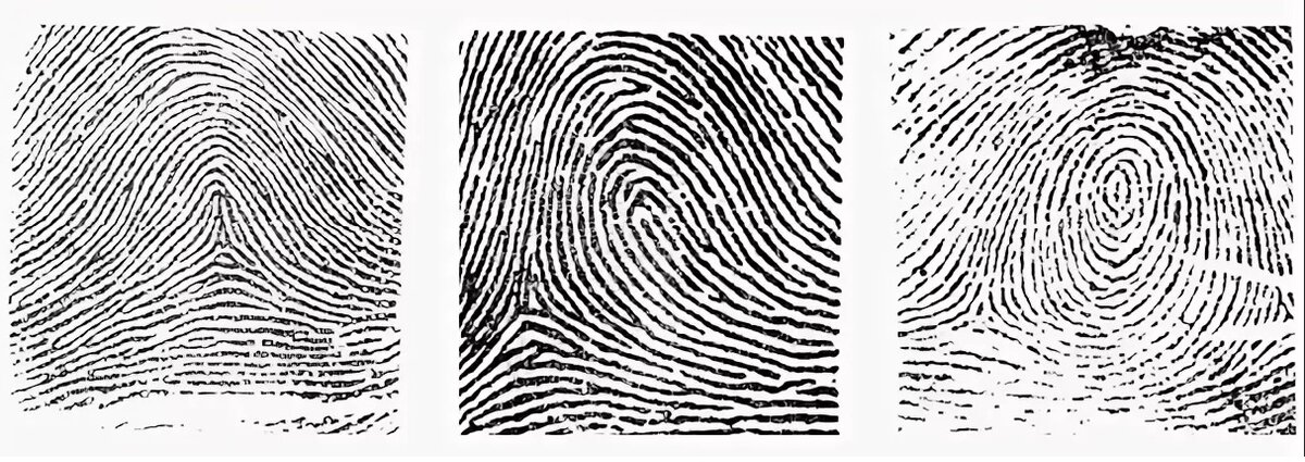 фото из Яндекс.Картинки