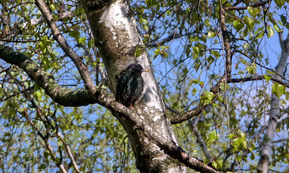 Фото: mosprogulka.ru