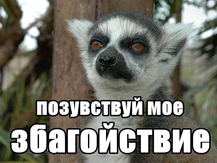 черный юмор. девочки не ссорьтесь. прикольные высказывания про нервы. чёрный юмор шутки. узбагойся картинки.