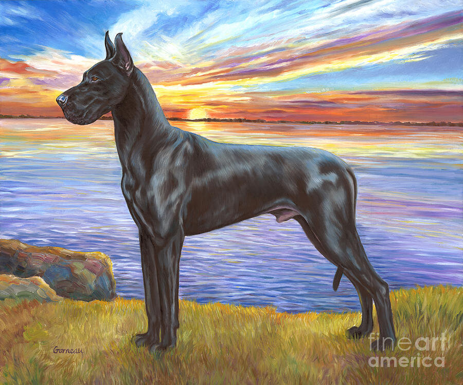 Яндекс картинки.