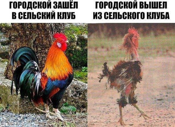 2) Сельские клубы такие