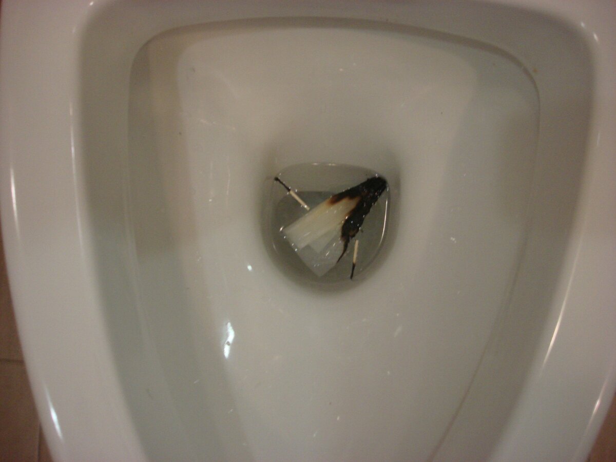 Фото сделано автором (отправила в унитаз)