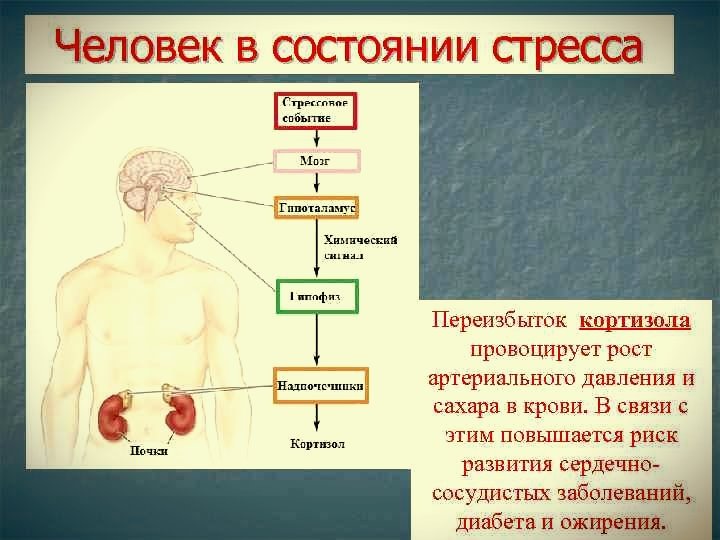 картинка из Яндекс картинки